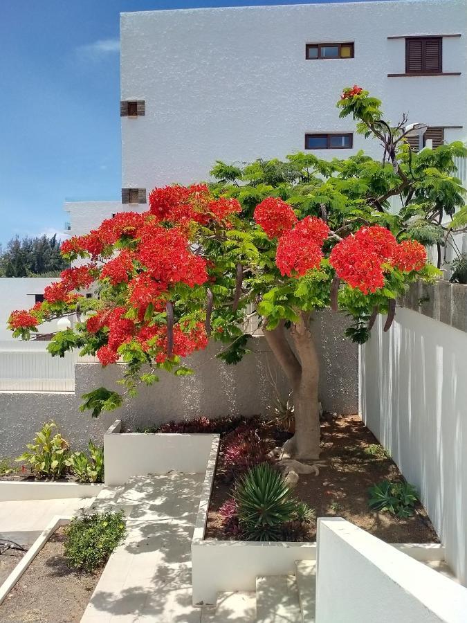 Bambu Διαμέρισμα San Agustín Εξωτερικό φωτογραφία