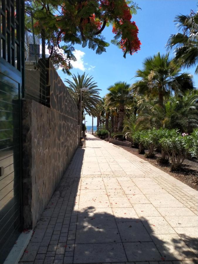 Bambu Διαμέρισμα San Agustín Εξωτερικό φωτογραφία